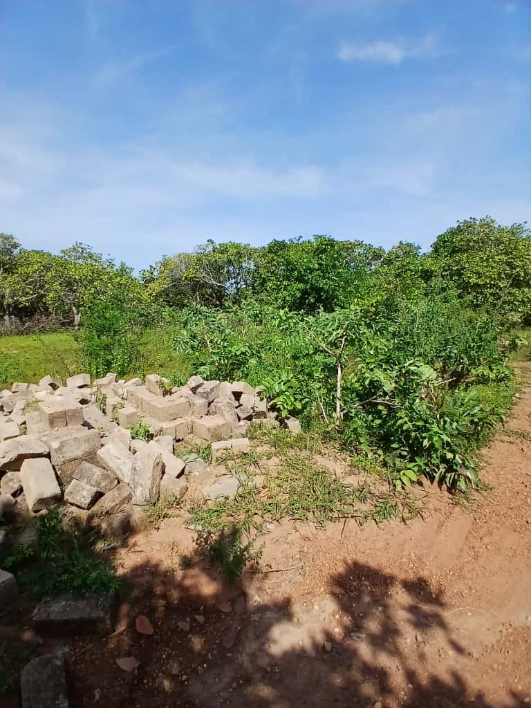 2 lots collés de 600m² du côté de Dakaha